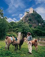 Merano Region