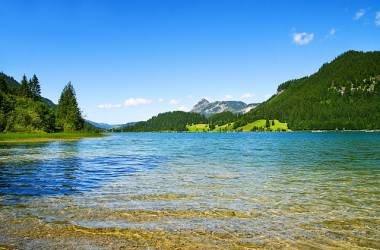 Kalterersee