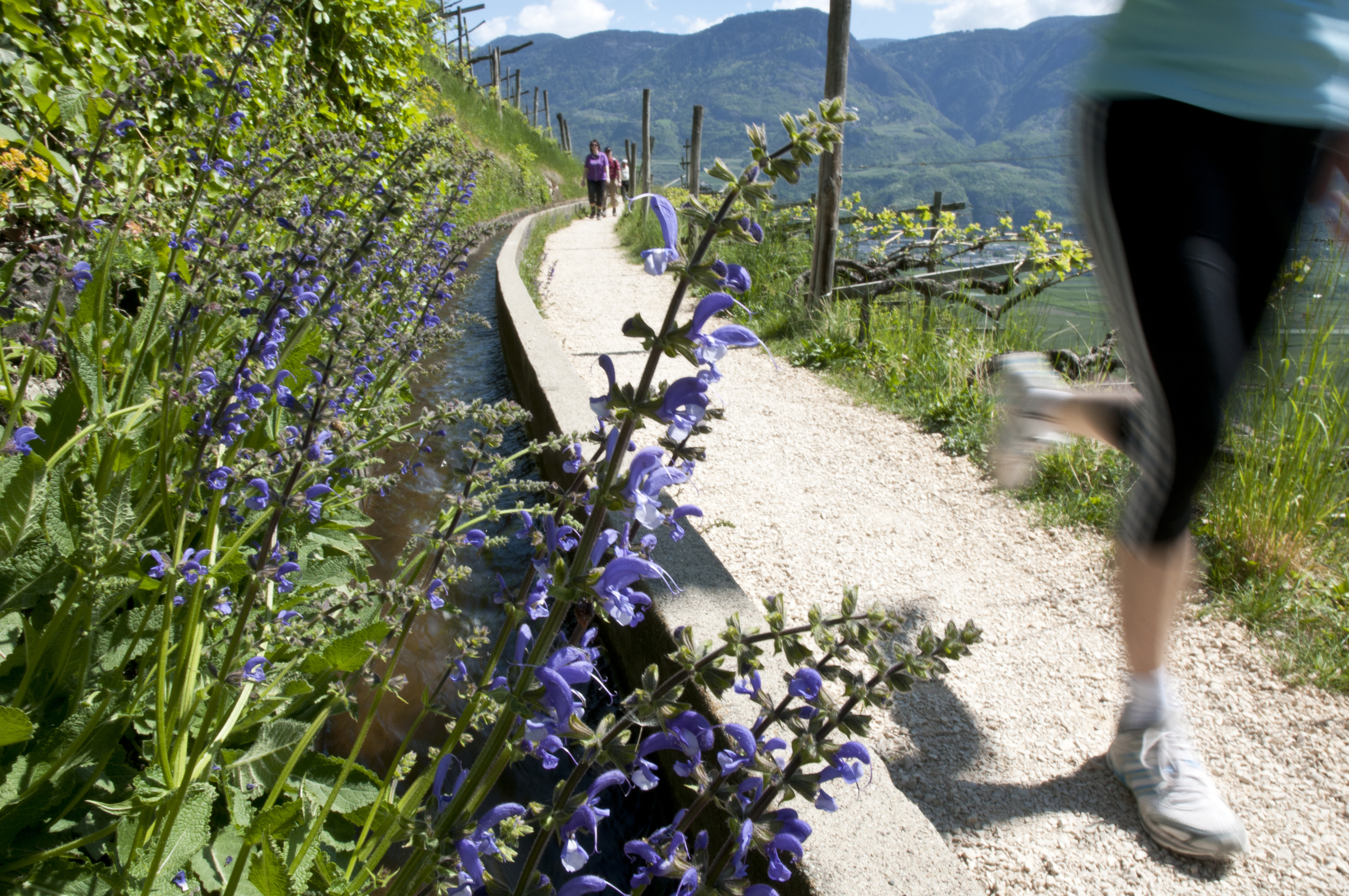 Nordic Walking in Südtirol