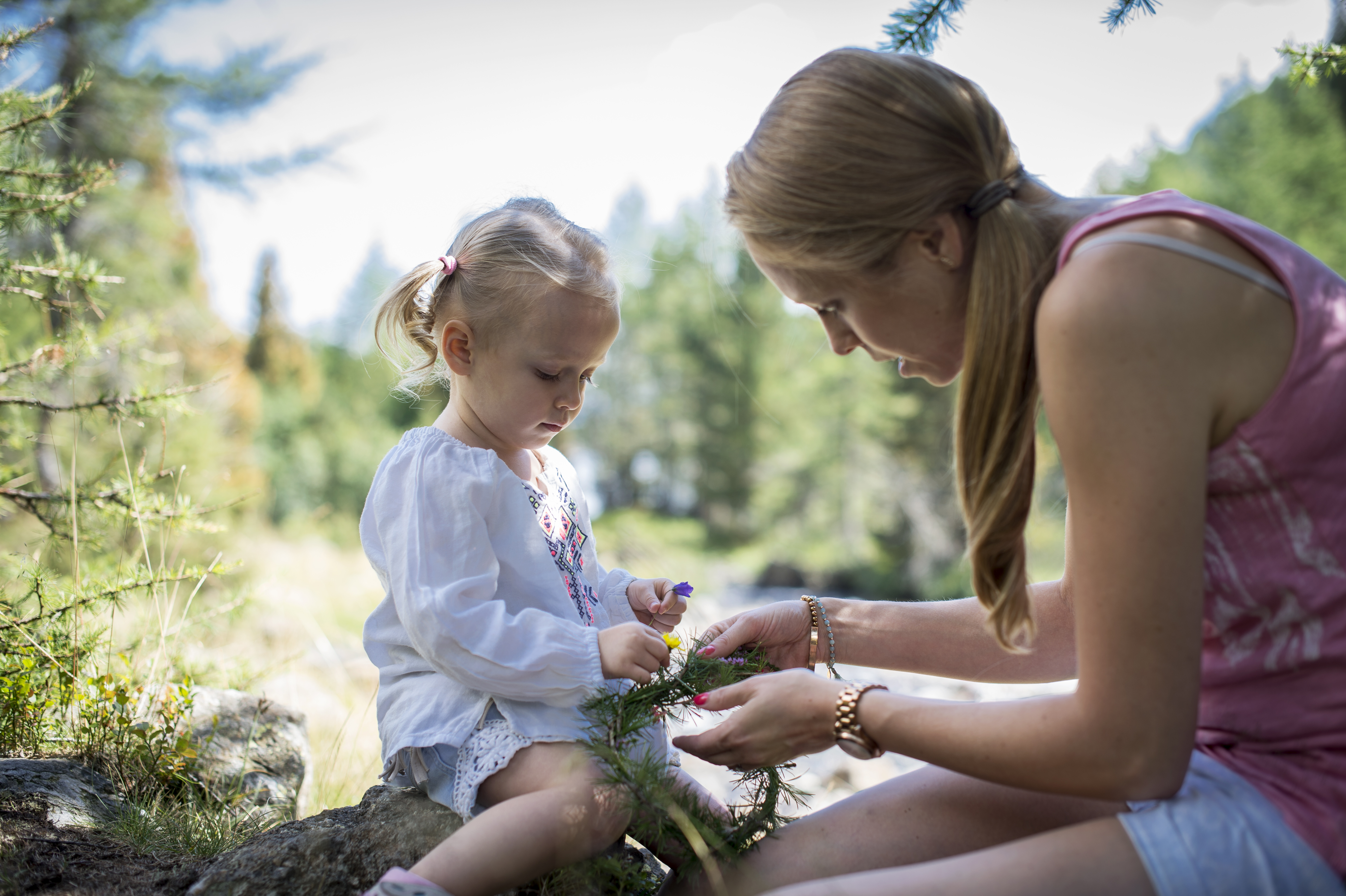 Kräuterkunde für Kinder im Wald